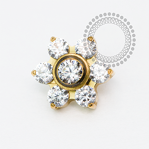 TN2078 Topo Margarida Luxo Titânio PVD Gold