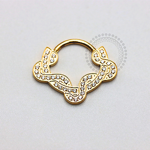 TN1182 Segmento Frontal CZ Serpentina Titânio PVD Gold
