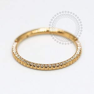 TN1184 Segmento  Cravejado Inca Titânio PVD Gold