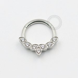 TN531 Segmento Frontal 7 Pedras Titânio ASTM F136