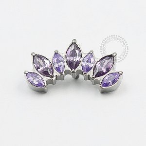 TN540 Topo Cluster Navetes Roxo Titânio ASTM F136