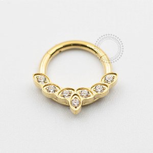 TN621 Segmento Frontal 7 CZ Titânio PVD Gold