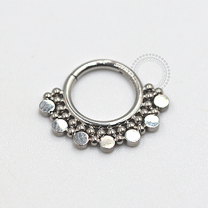 TN662 Segmento Frontal Indiano 7 Discos Titânio ASTM F136