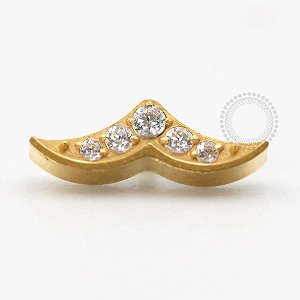 TN756 Topo Calda de Baleia CZ Titânio PVD Gold