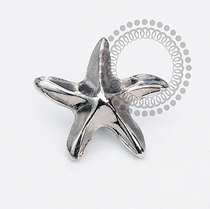 TN2099 Estrela Do Mar Lisa Titânio ASTM F136