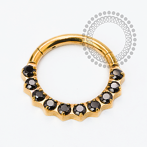 TN2463  Segmento CZ Frontal Black Titânio PVD Gold