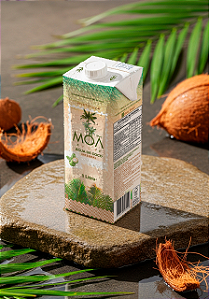 MOÃ 1 Litro Tetra Pak - Caixa com 12 unidades