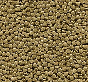 ALCON BOTTOM FISH 1 Kg