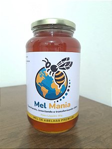 Mel 100% Natural Premium, produzido por agricultores familiares capacitados pelo projeto de apicultura da Social Bee.