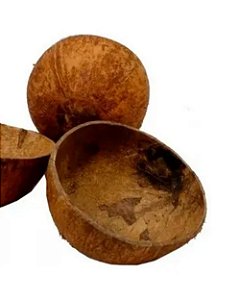 Coité de Coco - Unidade