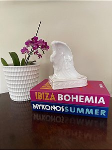 Livro Decorativo Mikonos