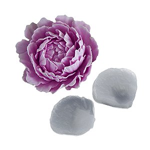 Molde de  Silicone 502 - Marcador de Rosa Steele