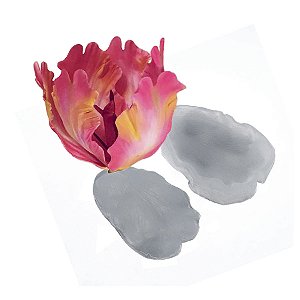 Molde de  Silicone 506 - Marcador de Tulipa Crespa