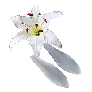 Molde de  Silicone 547 - Marcador de Lírio CD