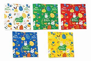 Saco Express 24x24 25 unidades 100g/150g Flex Fest