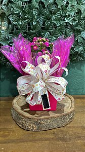 🌷 Encanto Rosa – Kalanchoe Decorado