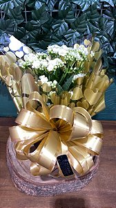 🌼 Kalanchoe Calandiva Branco no Cachepô Decorado