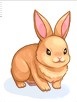 Coelho Cenourinha