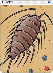 Carta Kukre