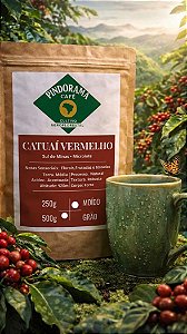 Catuaí Vermelho Especial 500g moído