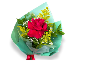 Arranjo Especial com Rosa