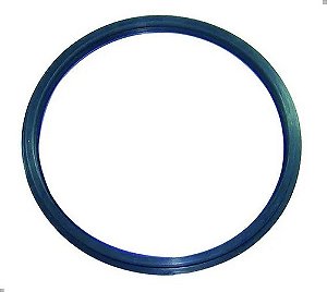 Anel Guarnicao Tbi Corsa Efi 94 95 96 Modelo 1 Bico Todos