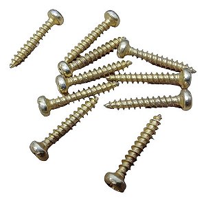 Parafuso Fixacao Capa Chave Seta Console Gol G2 G3 Bola 10pc