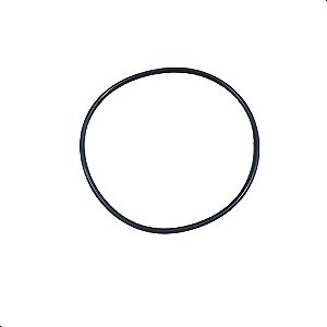 Anel Guarnicao Flange Combustivel Kadett Ipan. Mpfi 96 97 98