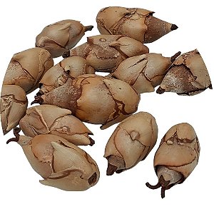 FAVAS