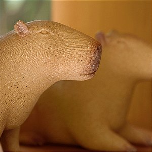ESCULTURA CAPIVARA EM POLIRRESINA