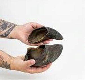 Casco Bovino Kit 10 unidades