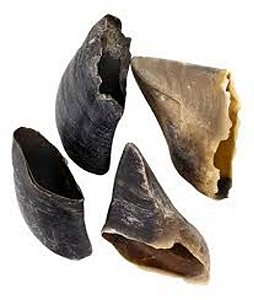 Casco Roots Natural Kit