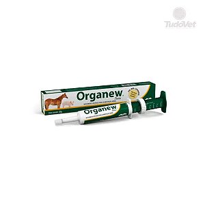 Organew Pasta 32 g
