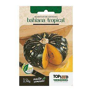 Sementes de Abóbora Bahiana Tropical Tradicional Topseed Garden Único