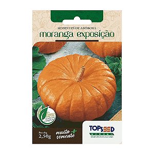Sementes de Abóbora Moranga Exposição Tradicional Topseed Garden Único