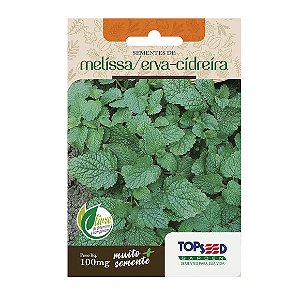 Sementes de Melíssa Erva Cídreira Tradicional Topseed Garden Único