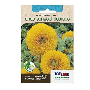 Sementes de Girassol Anão Sungold Dobrado Tradicional Topseed Garden Único