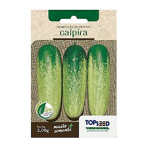 Sementes de Pepino Caipira Tradicional Topseed Garden Único