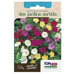 Sementes de Maravilha dos Jardins Sortida Tradicional Topseed Garden Único