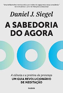 Livro Sabedoria Do Agora, A: A Ciencia E A Pratica Da Presenca - Um Guia Revoluci - Siegel