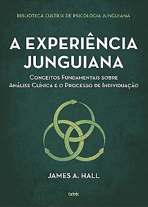 Livro Experiencia Junguiana, a - Conceitos Fundamentais sobre Analise Clinica e O - Hall