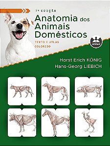 Livro Anatomia dos Animais Domésticos: Texto e Atlas Colorido Konig