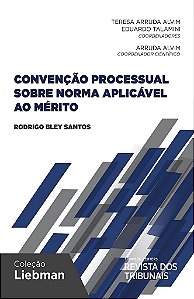 Livro Convencao Processual sobre Norma Aplicavel ao Merito - Santos