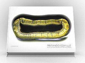 Livro Pintando Com Luz: Uma Visao Privilegiada Dos Dentes Naturais - Baratieri