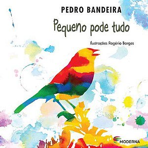 Livro Pequeno Pode Tudo - Bandeira