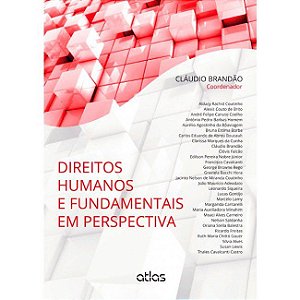Livro Direitos Humanos e Fundamentais em Perspectiva: Brandão