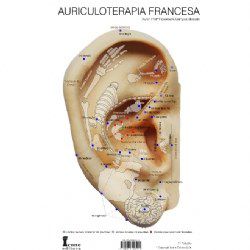 Livro Mapa Auriculoterapia Francesa