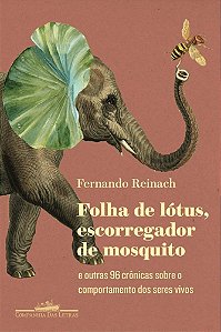Livro Folha de Lotus, Escorregador de Mosquito - e Outras 96 Cronicas sobre o com - Reinach