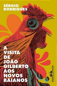 Livro Visita de Joao Gilberto Aos Novos Baianos, A: Contos - Rodrigues