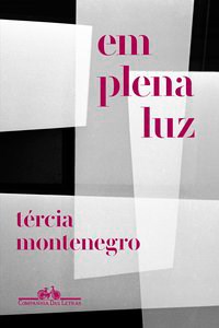 Livro Em Plena Luz - Montenegro
